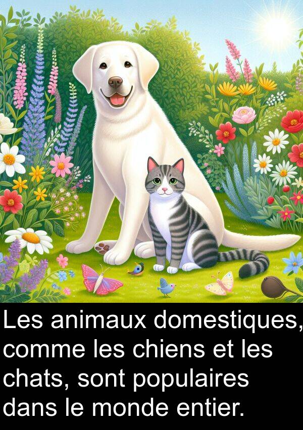 animaux: Les animaux domestiques, comme les chiens et les chats, sont populaires dans le monde entier.