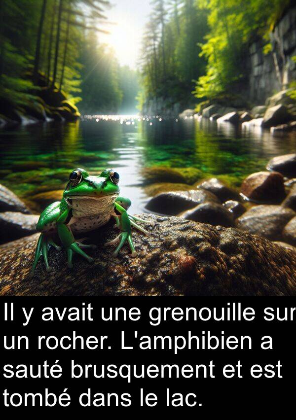 lac: Il y avait une grenouille sur un rocher. L'amphibien a sauté brusquement et est tombé dans le lac.