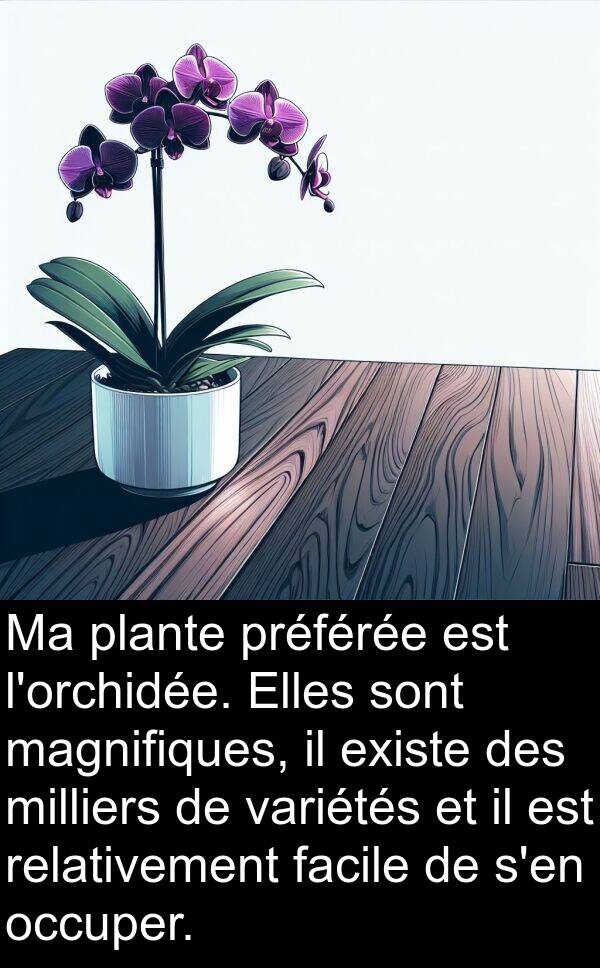 variétés: Ma plante préférée est l'orchidée. Elles sont magnifiques, il existe des milliers de variétés et il est relativement facile de s'en occuper.