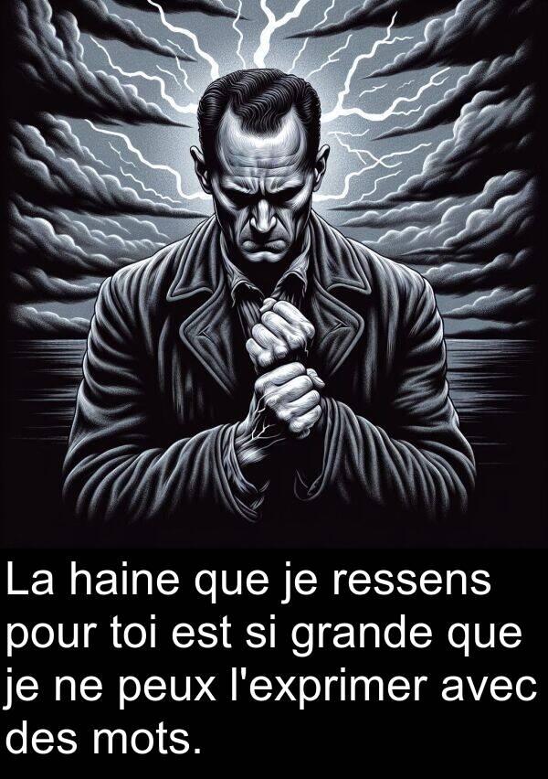 ressens: La haine que je ressens pour toi est si grande que je ne peux l'exprimer avec des mots.