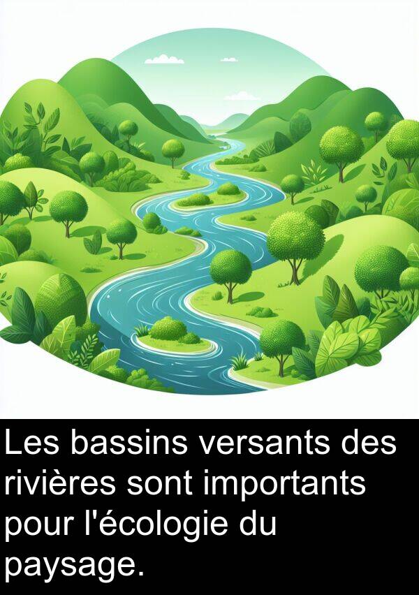 importants: Les bassins versants des rivières sont importants pour l'écologie du paysage.