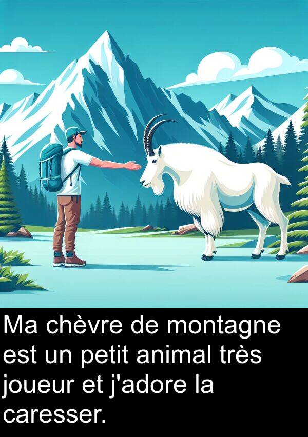 petit: Ma chèvre de montagne est un petit animal très joueur et j'adore la caresser.