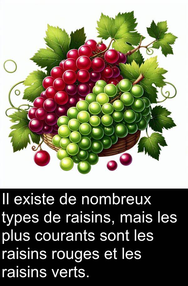 verts: Il existe de nombreux types de raisins, mais les plus courants sont les raisins rouges et les raisins verts.