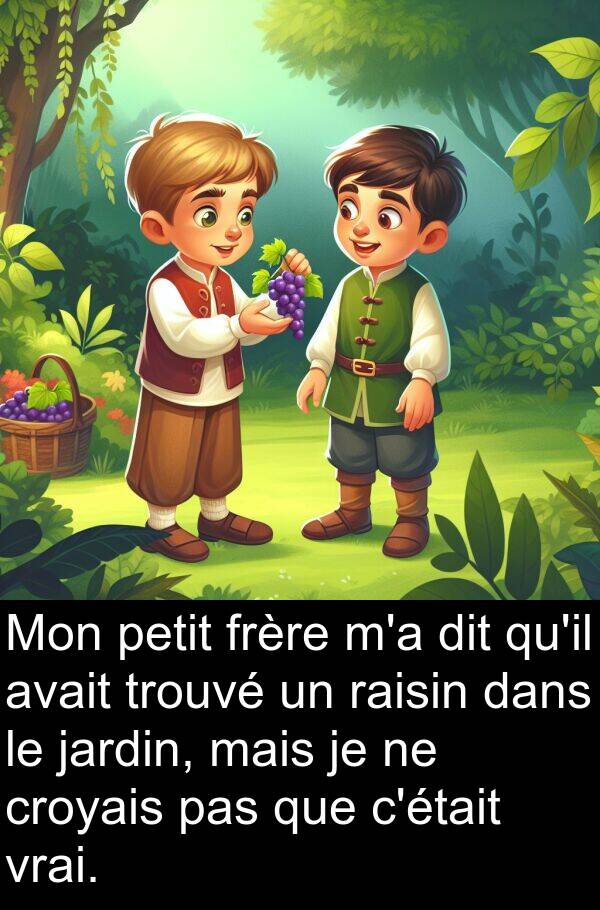 raisin: Mon petit frère m'a dit qu'il avait trouvé un raisin dans le jardin, mais je ne croyais pas que c'était vrai.