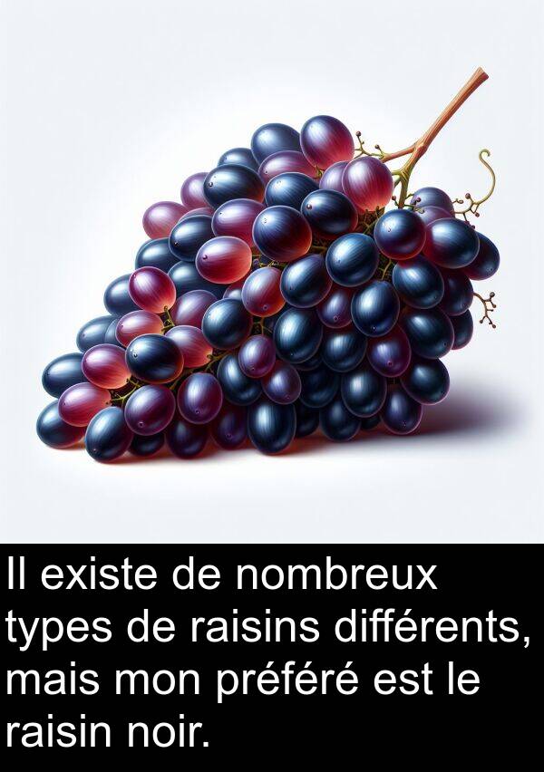 raisin: Il existe de nombreux types de raisins différents, mais mon préféré est le raisin noir.