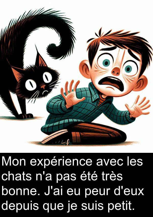 bonne: Mon expérience avec les chats n'a pas été très bonne. J'ai eu peur d'eux depuis que je suis petit.