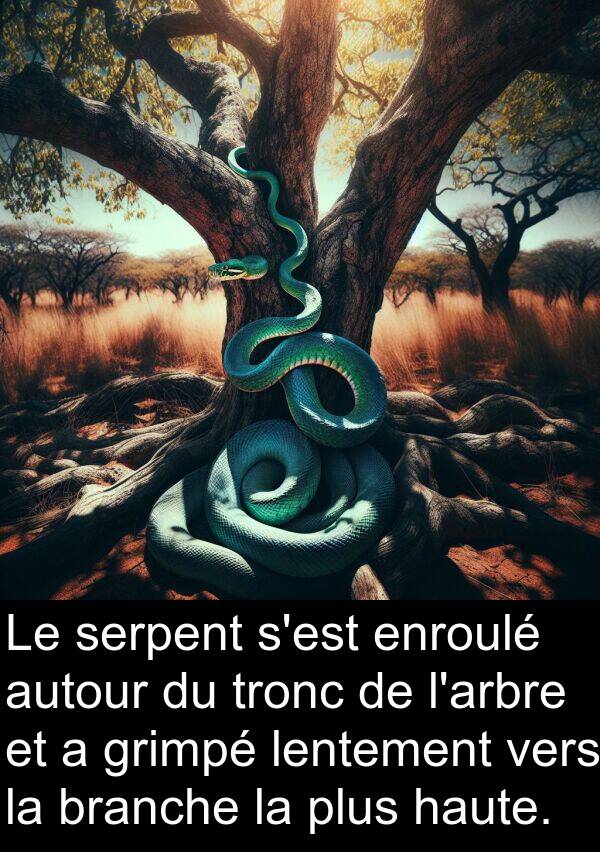 autour: Le serpent s'est enroulé autour du tronc de l'arbre et a grimpé lentement vers la branche la plus haute.