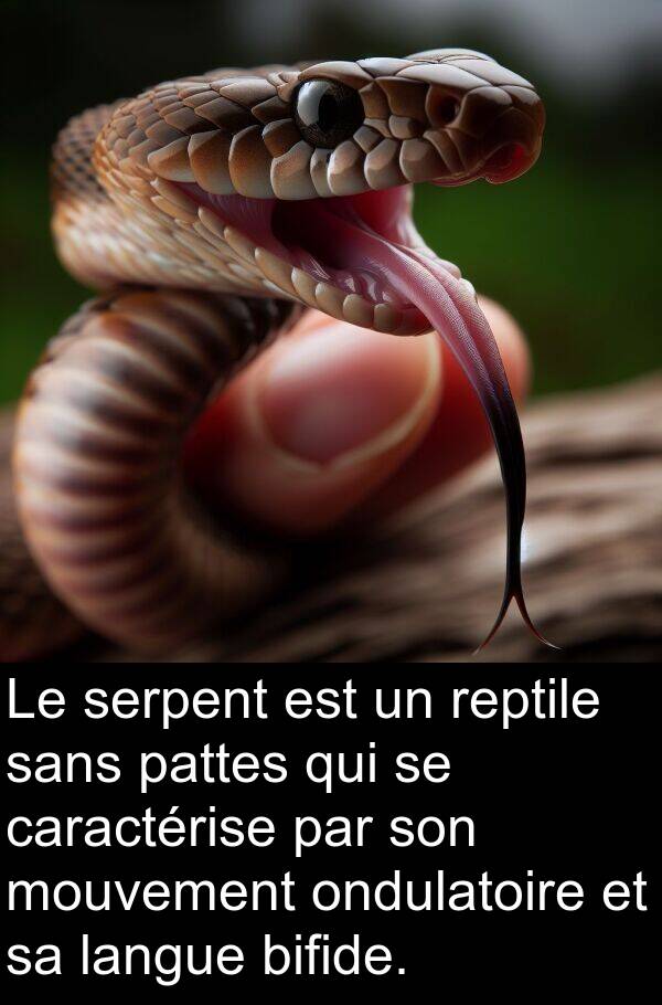 serpent: Le serpent est un reptile sans pattes qui se caractérise par son mouvement ondulatoire et sa langue bifide.