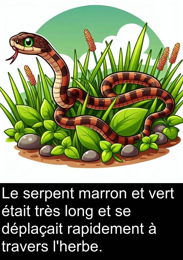 vert: Le serpent marron et vert était très long et se déplaçait rapidement à travers l'herbe.