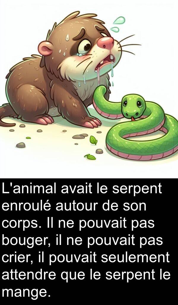 autour: L'animal avait le serpent enroulé autour de son corps. Il ne pouvait pas bouger, il ne pouvait pas crier, il pouvait seulement attendre que le serpent le mange.