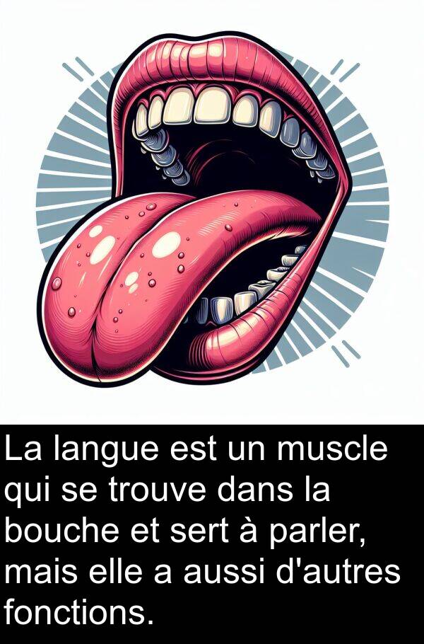 parler: La langue est un muscle qui se trouve dans la bouche et sert à parler, mais elle a aussi d'autres fonctions.