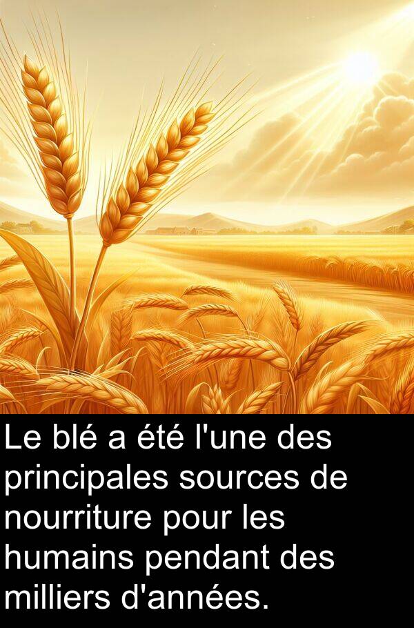 blé: Le blé a été l'une des principales sources de nourriture pour les humains pendant des milliers d'années.