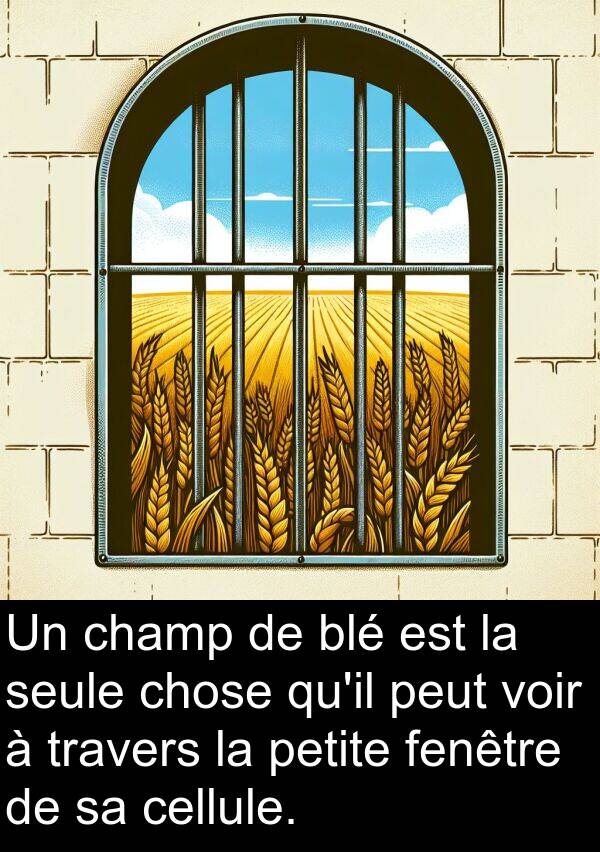 fenêtre: Un champ de blé est la seule chose qu'il peut voir à travers la petite fenêtre de sa cellule.