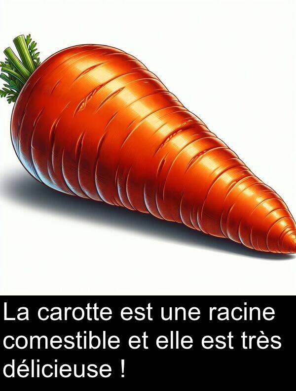 racine: La carotte est une racine comestible et elle est très délicieuse !