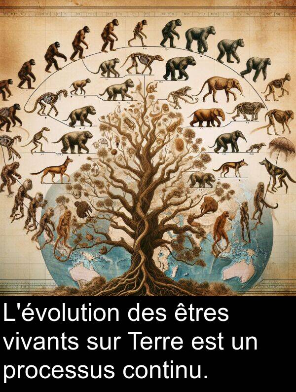 processus: L'évolution des êtres vivants sur Terre est un processus continu.