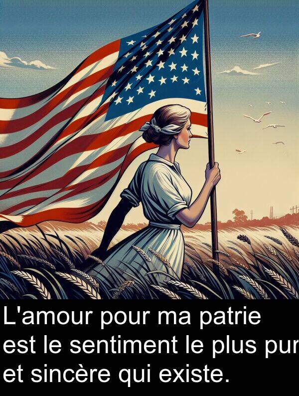 patrie: L'amour pour ma patrie est le sentiment le plus pur et sincère qui existe.