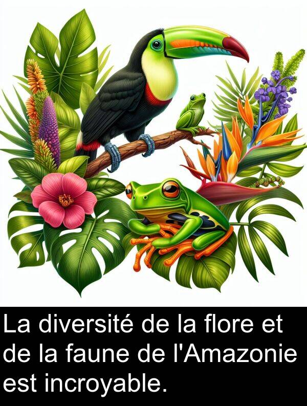 faune: La diversité de la flore et de la faune de l'Amazonie est incroyable.