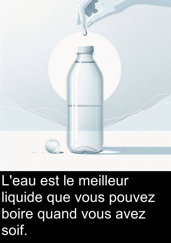 avez: L'eau est le meilleur liquide que vous pouvez boire quand vous avez soif.