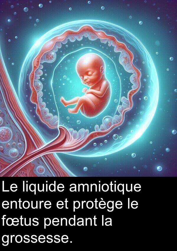 amniotique: Le liquide amniotique entoure et protège le fœtus pendant la grossesse.