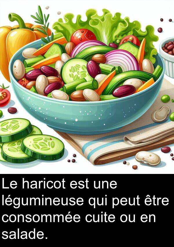 haricot: Le haricot est une légumineuse qui peut être consommée cuite ou en salade.