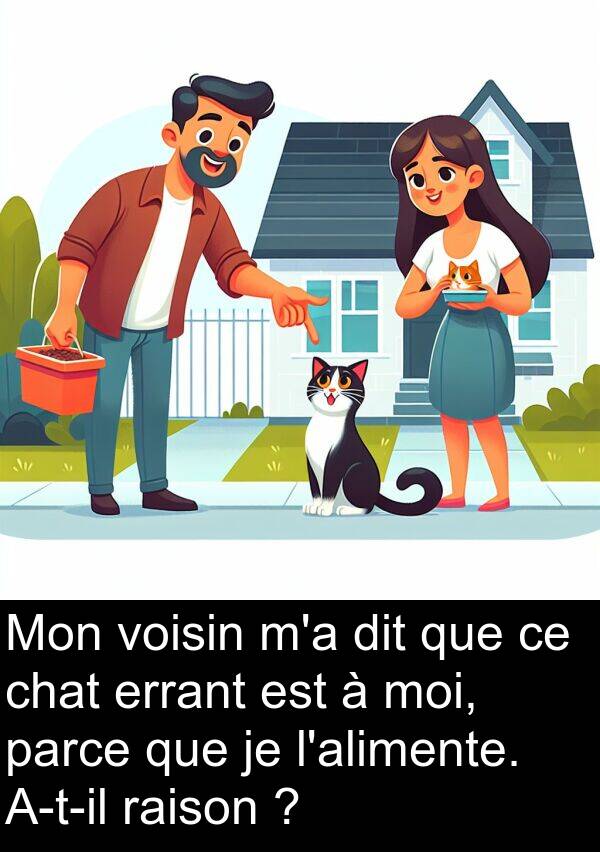 voisin: Mon voisin m'a dit que ce chat errant est à moi, parce que je l'alimente. A-t-il raison ?