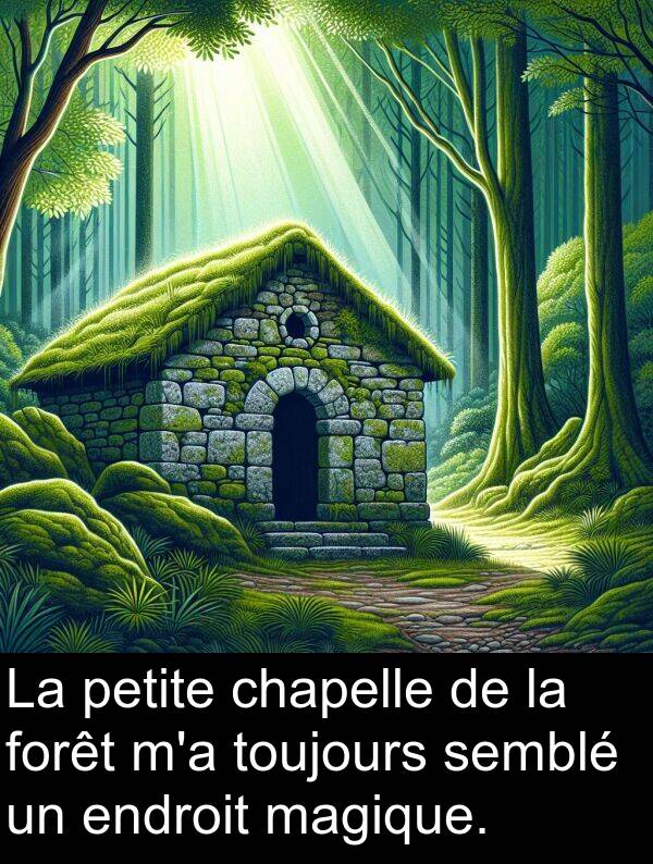 forêt: La petite chapelle de la forêt m'a toujours semblé un endroit magique.