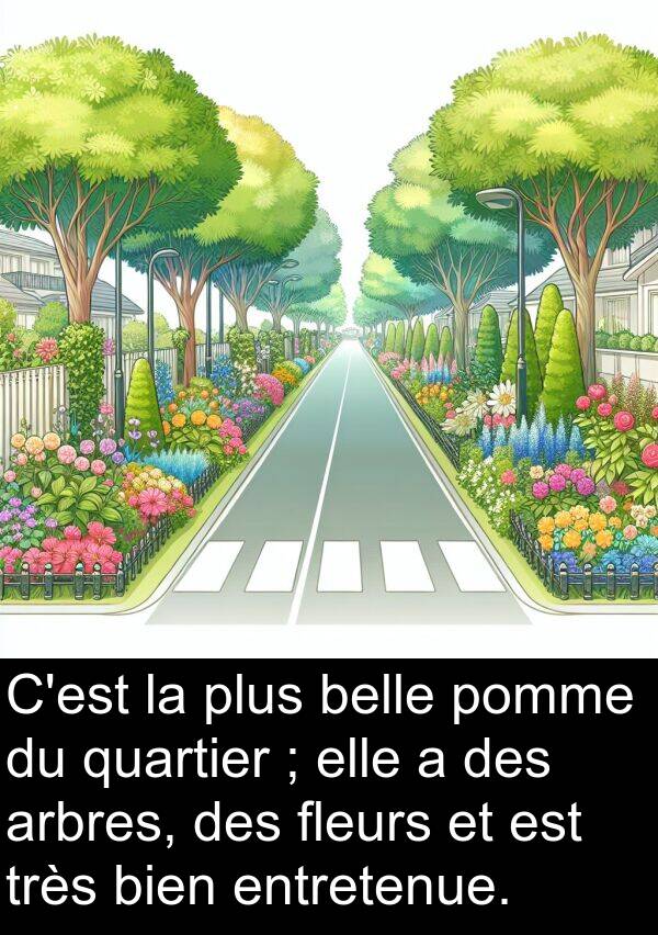 arbres: C'est la plus belle pomme du quartier ; elle a des arbres, des fleurs et est très bien entretenue.