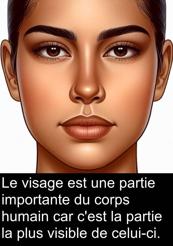 importante: Le visage est une partie importante du corps humain car c'est la partie la plus visible de celui-ci.