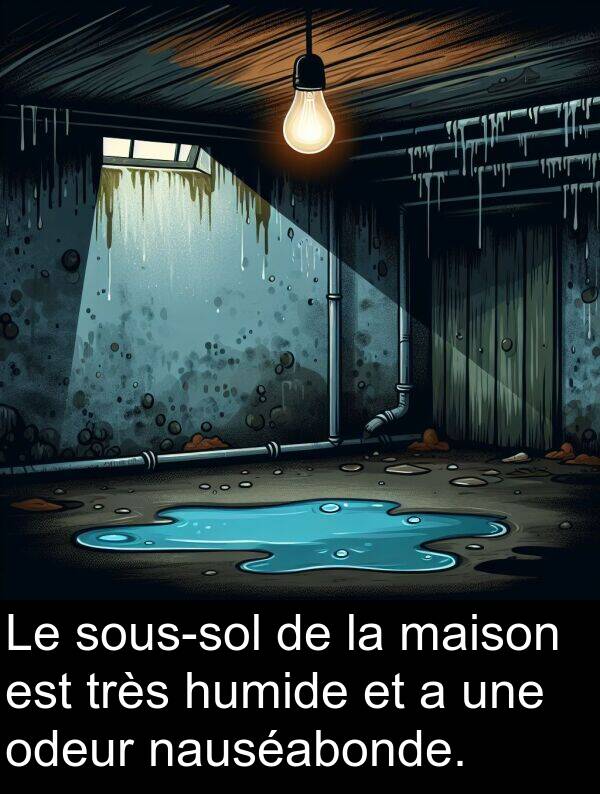 maison: Le sous-sol de la maison est très humide et a une odeur nauséabonde.