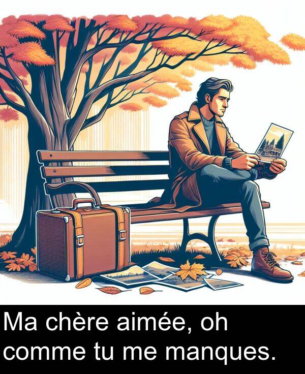 aimée: Ma chère aimée, oh comme tu me manques.