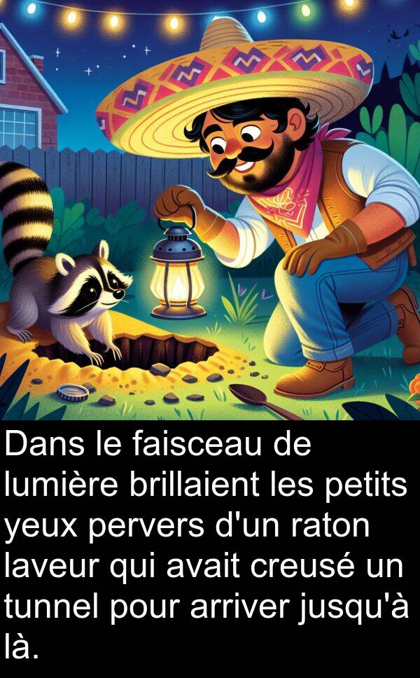 faisceau: Dans le faisceau de lumière brillaient les petits yeux pervers d'un raton laveur qui avait creusé un tunnel pour arriver jusqu'à là.