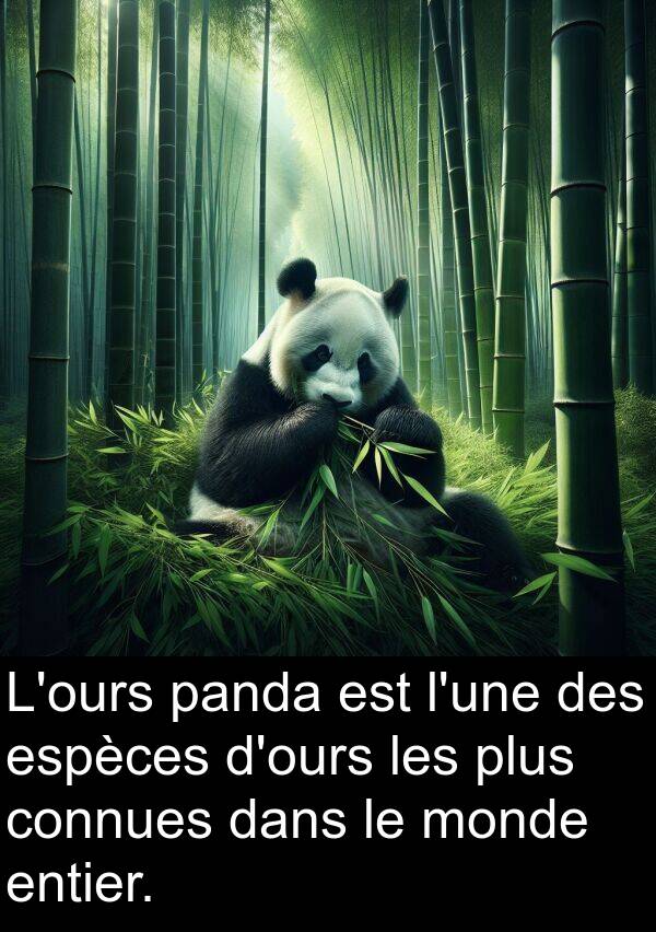 panda: L'ours panda est l'une des espèces d'ours les plus connues dans le monde entier.