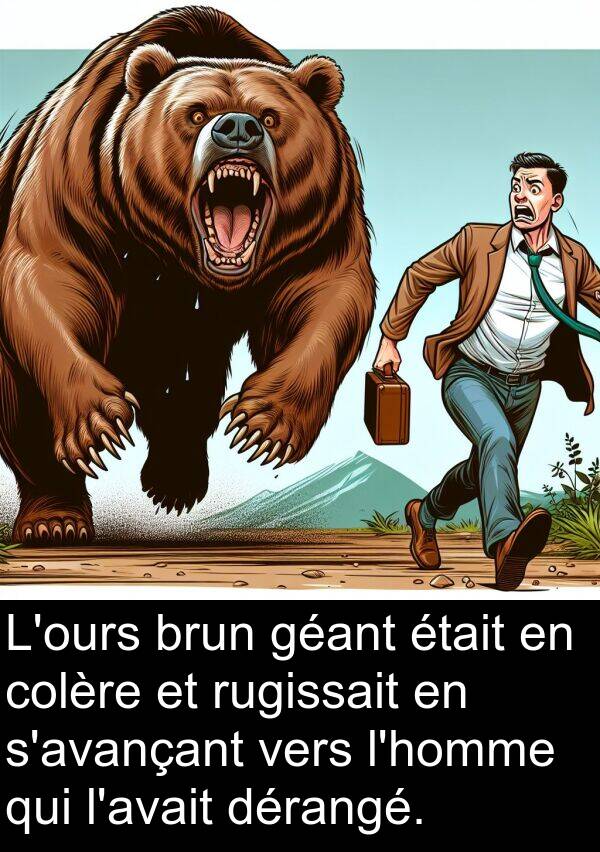 vers: L'ours brun géant était en colère et rugissait en s'avançant vers l'homme qui l'avait dérangé.