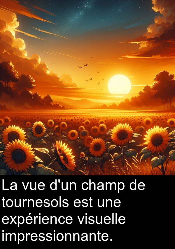 impressionnante: La vue d'un champ de tournesols est une expérience visuelle impressionnante.