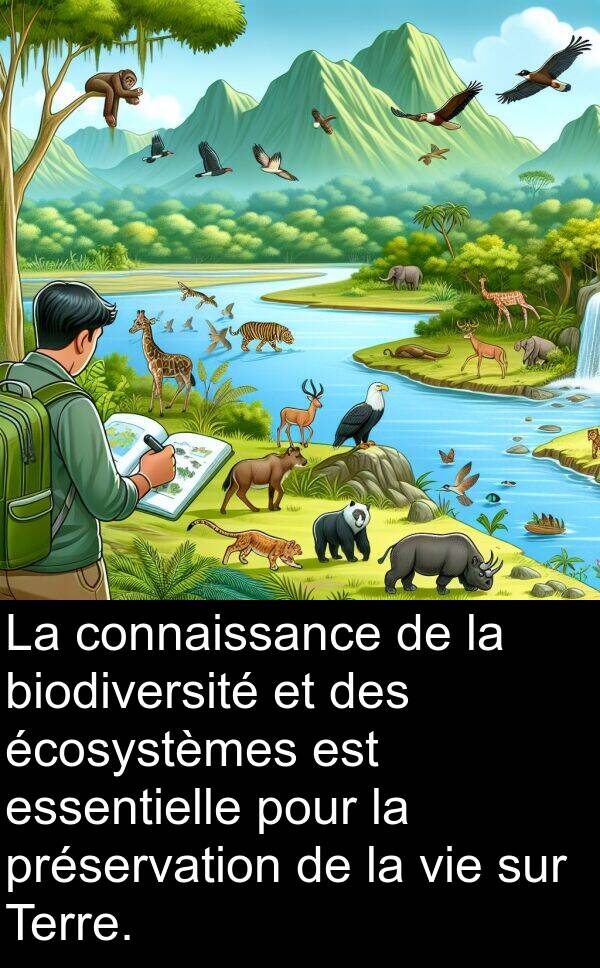 biodiversité: La connaissance de la biodiversité et des écosystèmes est essentielle pour la préservation de la vie sur Terre.