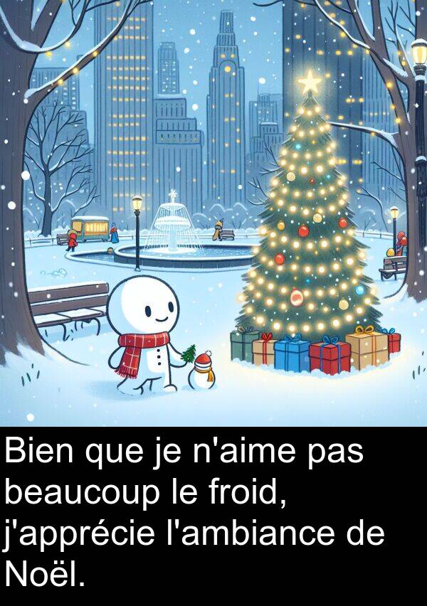 beaucoup: Bien que je n'aime pas beaucoup le froid, j'apprécie l'ambiance de Noël.