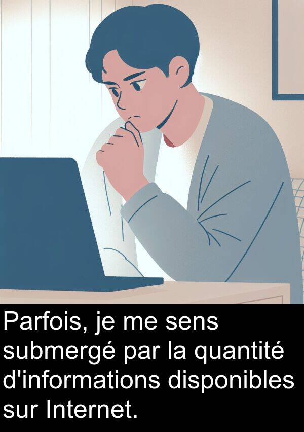 quantité: Parfois, je me sens submergé par la quantité d'informations disponibles sur Internet.