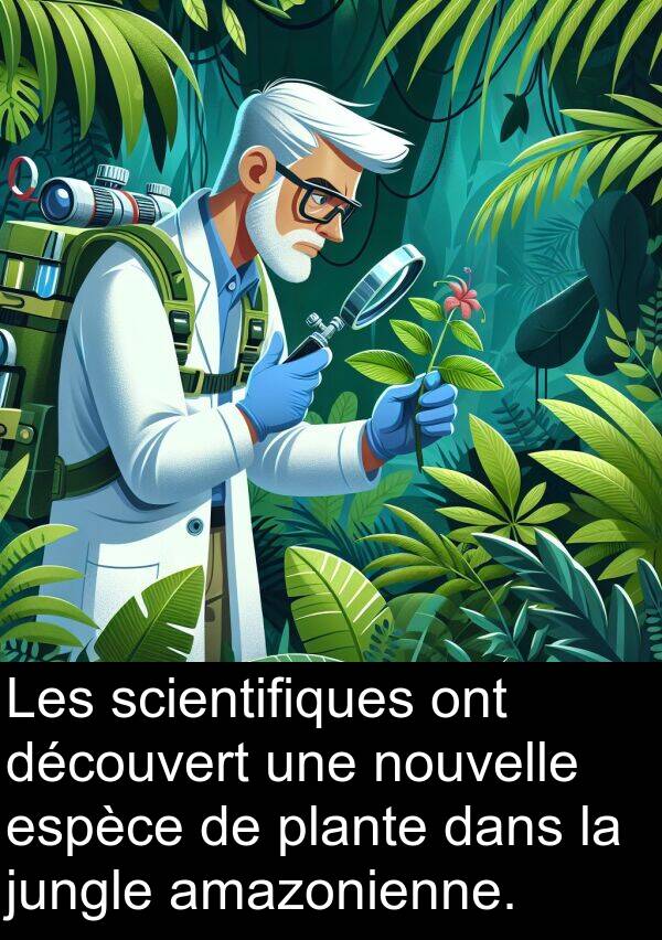 amazonienne: Les scientifiques ont découvert une nouvelle espèce de plante dans la jungle amazonienne.