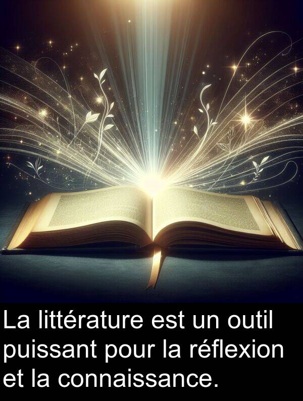 puissant: La littérature est un outil puissant pour la réflexion et la connaissance.