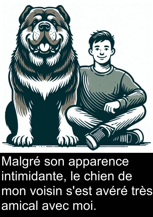 amical: Malgré son apparence intimidante, le chien de mon voisin s'est avéré très amical avec moi.