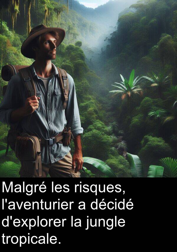 risques: Malgré les risques, l'aventurier a décidé d'explorer la jungle tropicale.