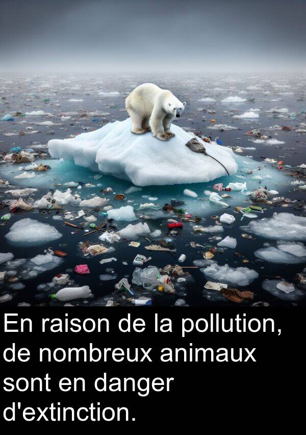 pollution: En raison de la pollution, de nombreux animaux sont en danger d'extinction.