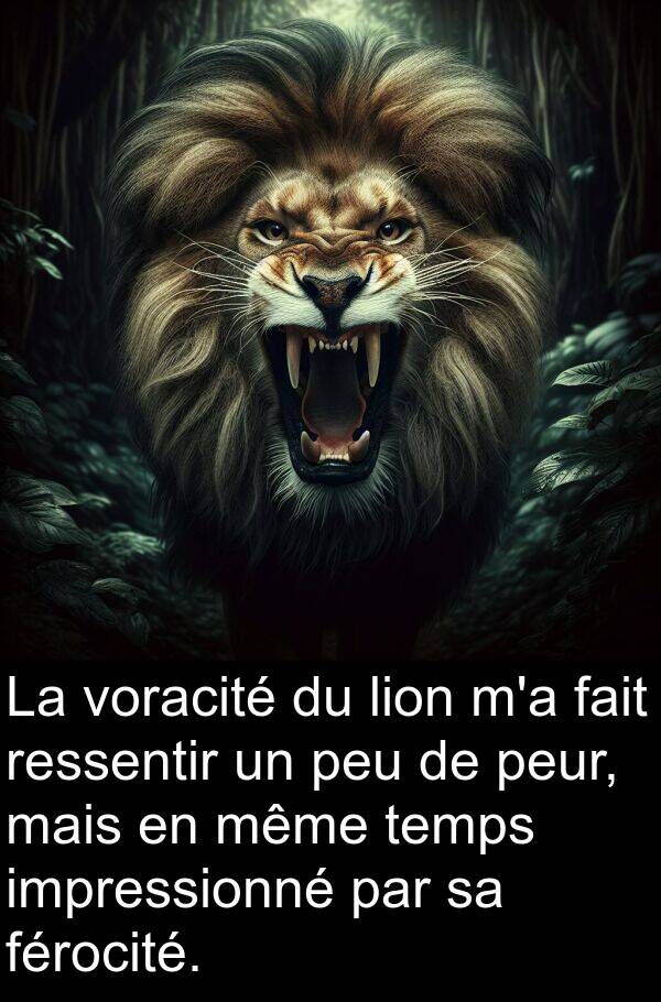 voracité: La voracité du lion m'a fait ressentir un peu de peur, mais en même temps impressionné par sa férocité.