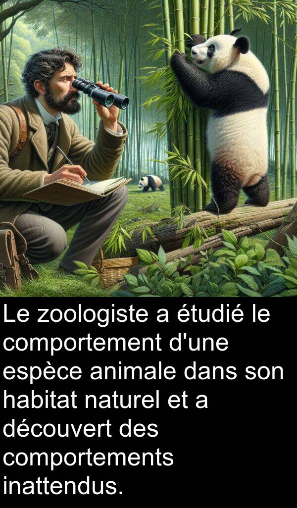 habitat: Le zoologiste a étudié le comportement d'une espèce animale dans son habitat naturel et a découvert des comportements inattendus.