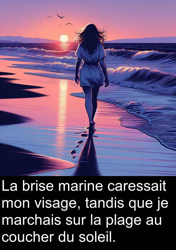 marine: La brise marine caressait mon visage, tandis que je marchais sur la plage au coucher du soleil.