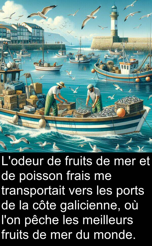 fruits: L'odeur de fruits de mer et de poisson frais me transportait vers les ports de la côte galicienne, où l'on pêche les meilleurs fruits de mer du monde.