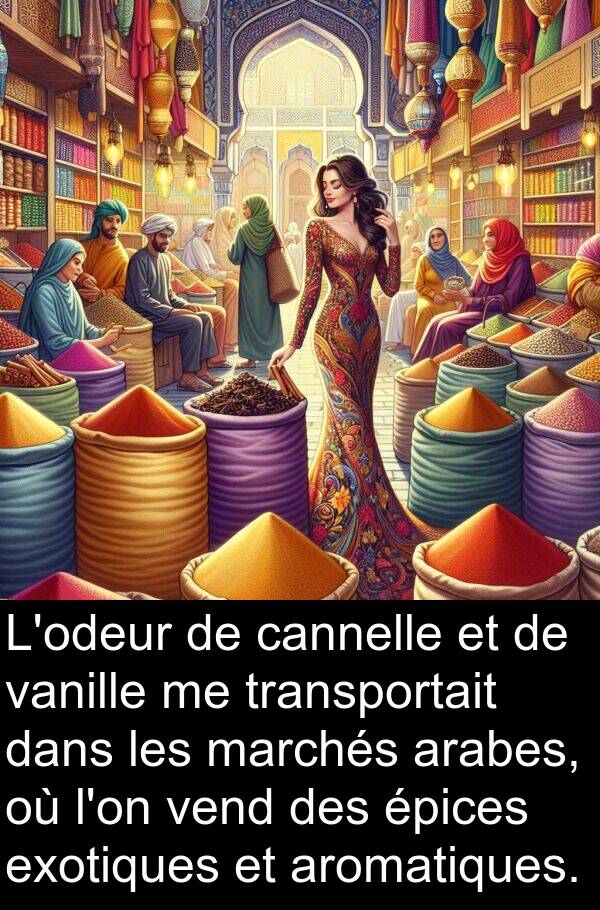 vanille: L'odeur de cannelle et de vanille me transportait dans les marchés arabes, où l'on vend des épices exotiques et aromatiques.