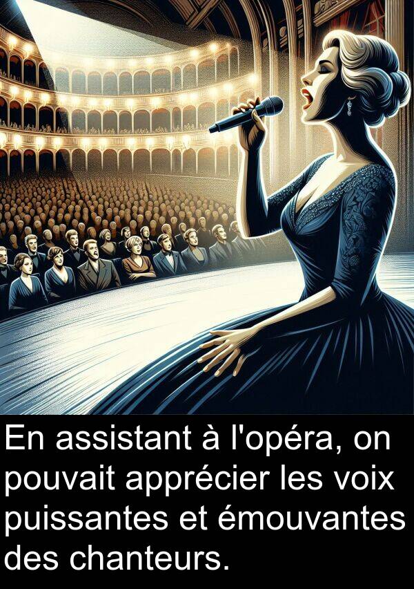 voix: En assistant à l'opéra, on pouvait apprécier les voix puissantes et émouvantes des chanteurs.