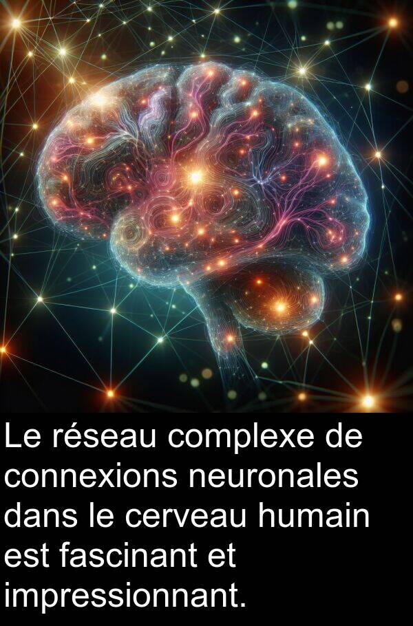 fascinant: Le réseau complexe de connexions neuronales dans le cerveau humain est fascinant et impressionnant.