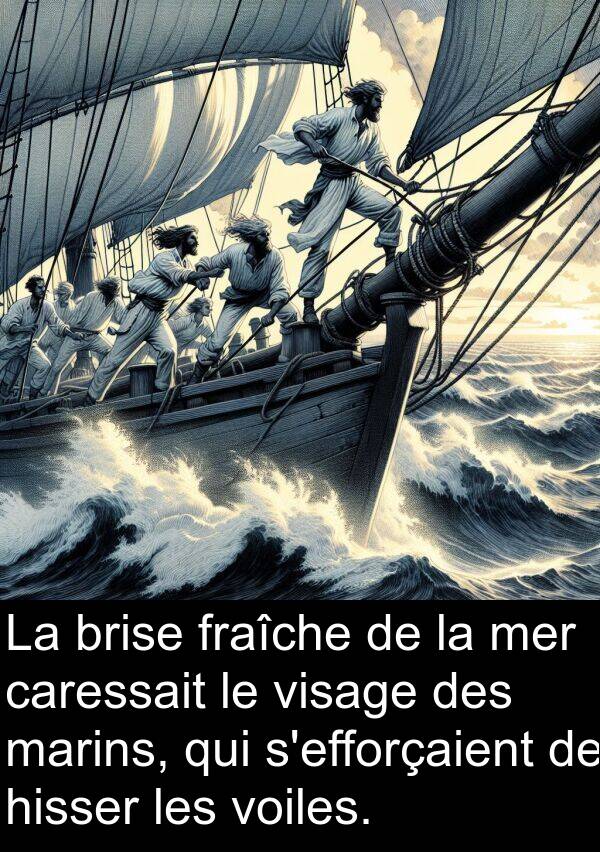 voiles: La brise fraîche de la mer caressait le visage des marins, qui s'efforçaient de hisser les voiles.